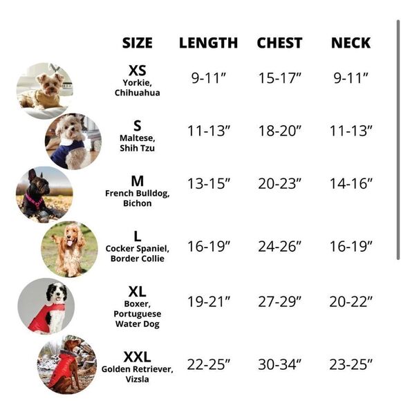 HOTEL DOGGY Pride Santa Dog Sweater, Red/Gray, Gay Pride,‎ Medium, NWT - Picture 6 of 14